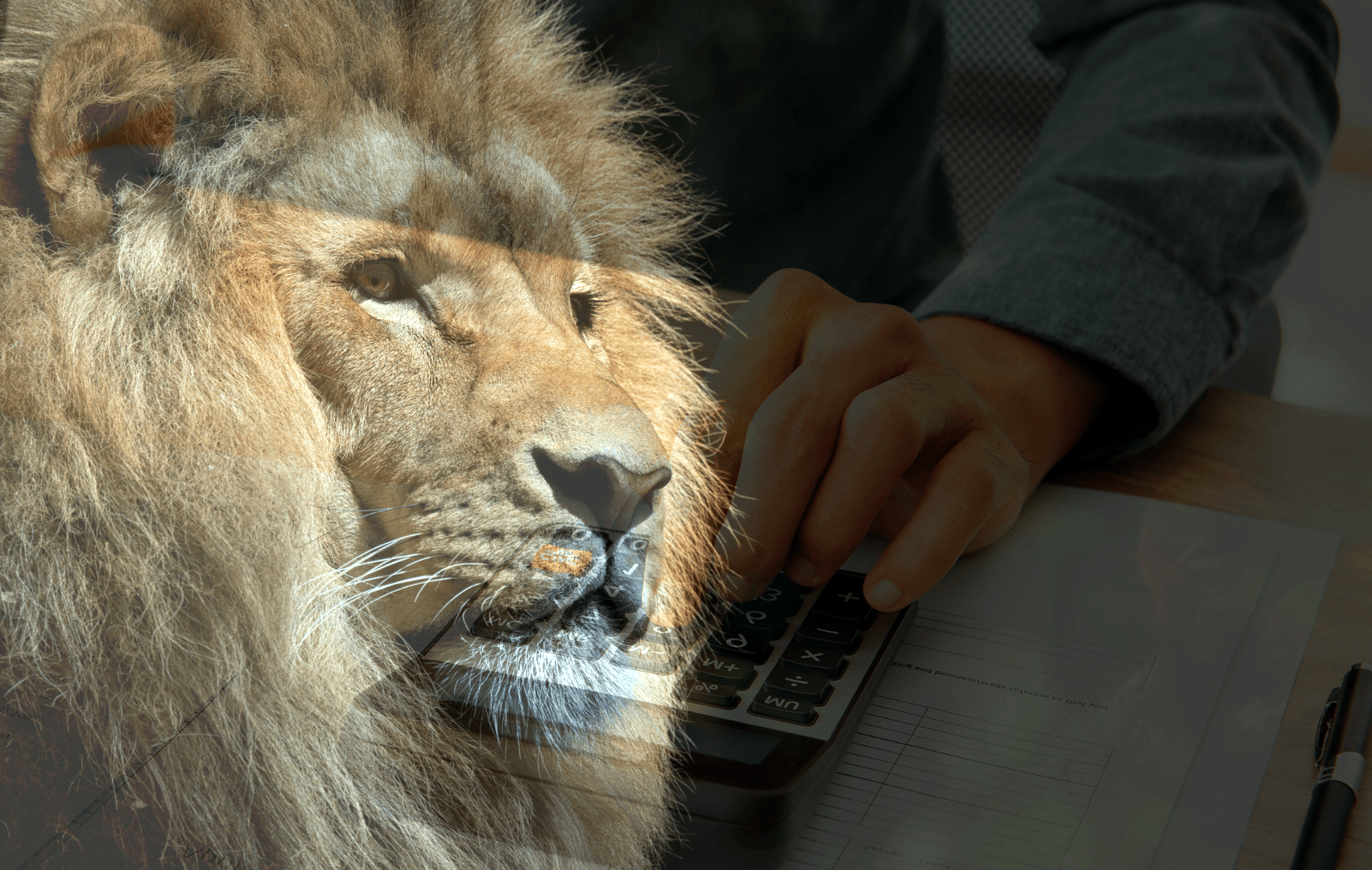 COMEÇA DIA 15 O PRAZO PARA FAZER DECLARAÇÃO DO IMPOSTO DE RENDA